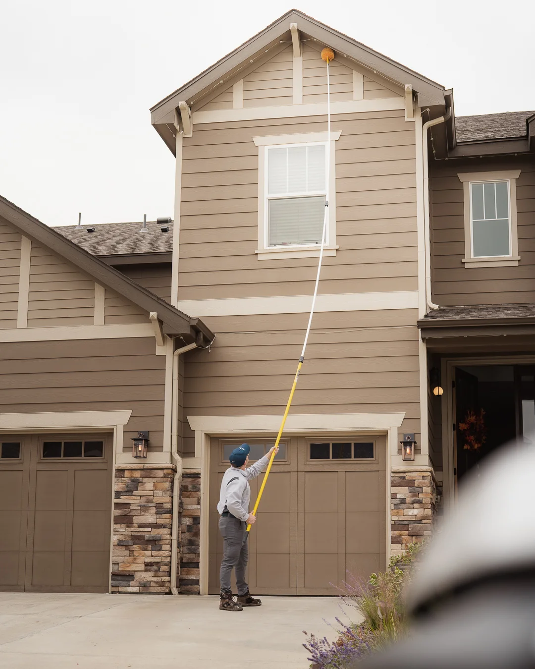 Residential Pest Control in Longmont