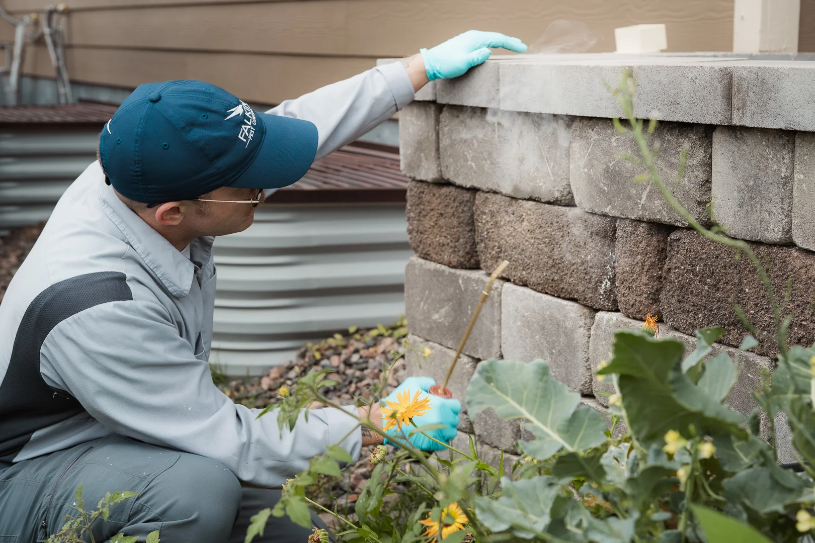 Exterminator Wheat Ridge CO