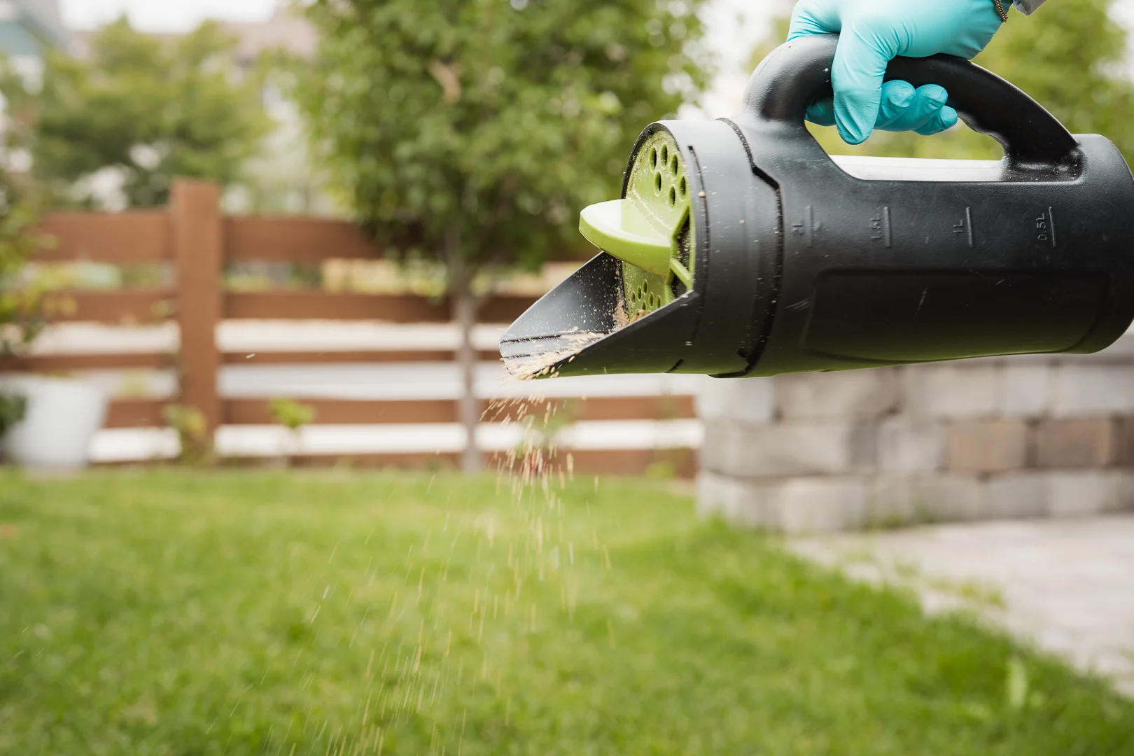 Pest Control Lucerne CO