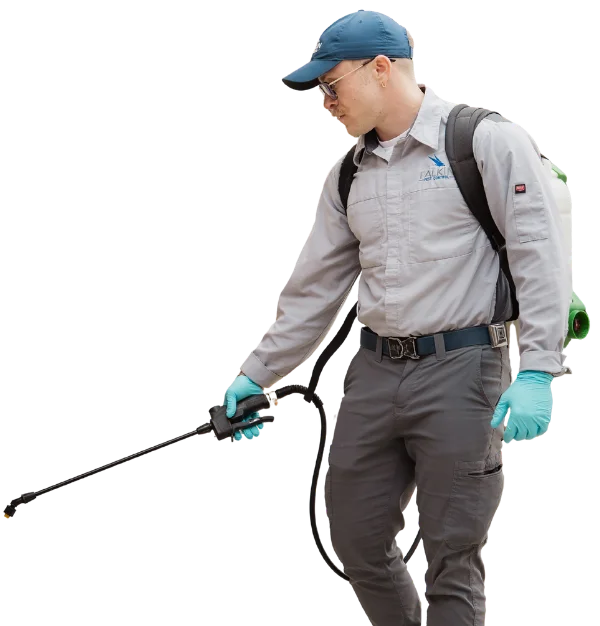 pest control denver co