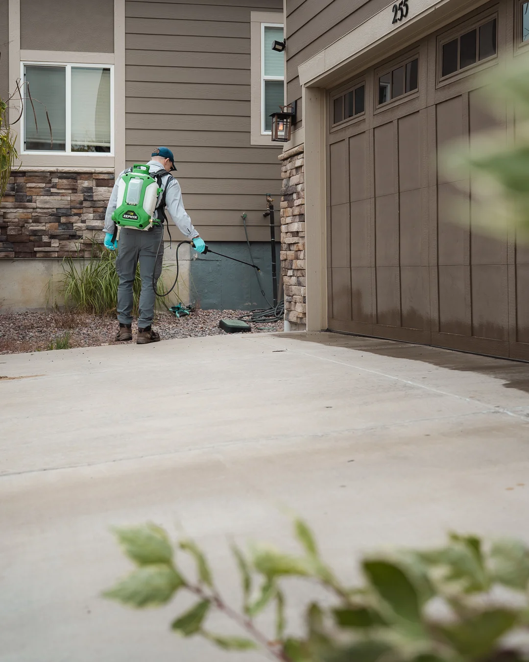 Pest control in Hereford, CO