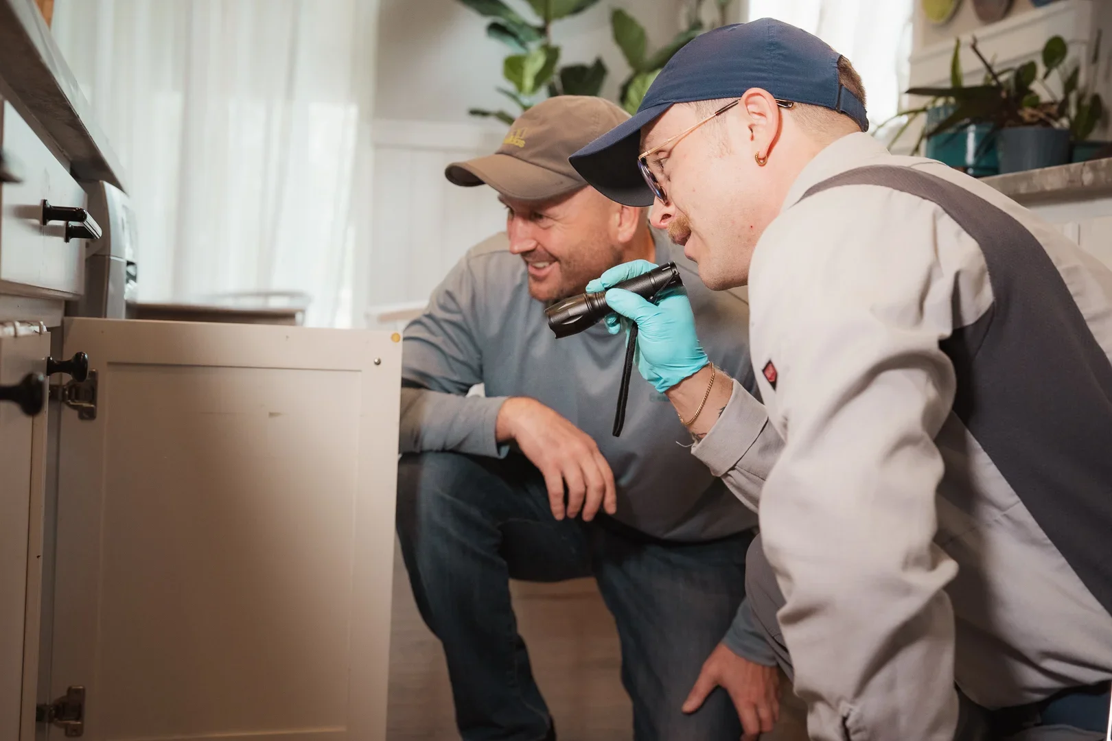Pest Control near Denver County